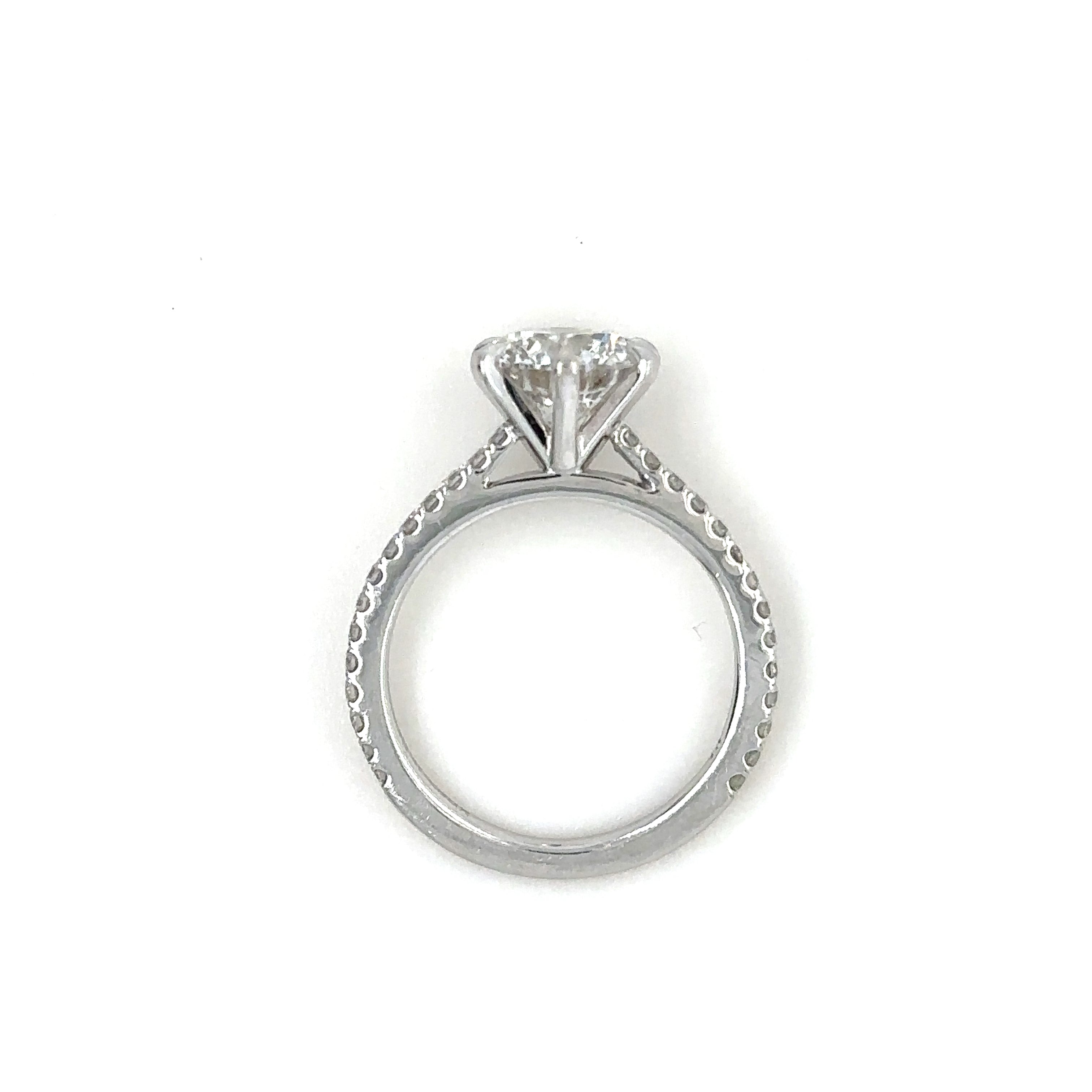 6 Claw Pave Gallery Ring, Side View