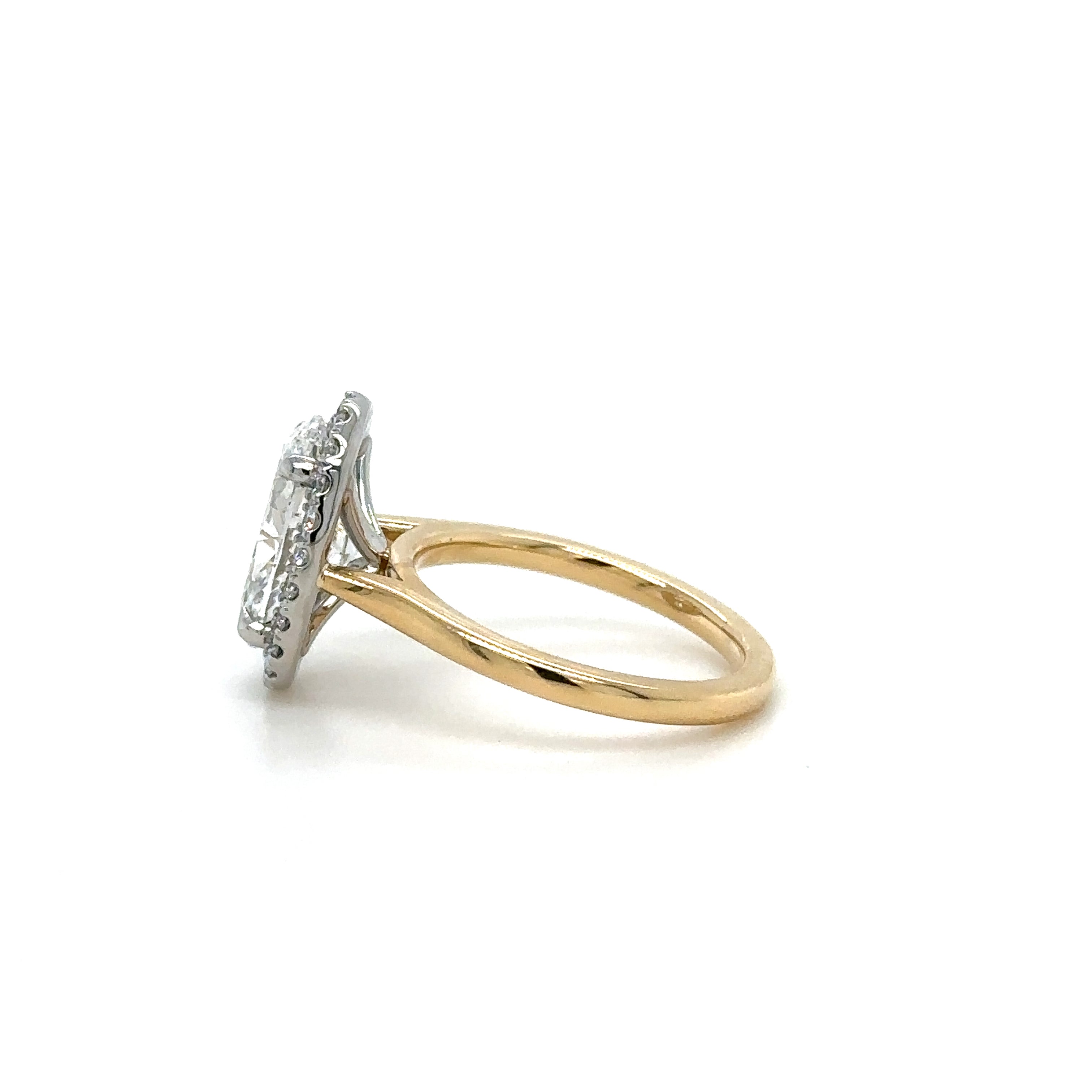 Single Halo Gallery with Plain Band Diamond Ring