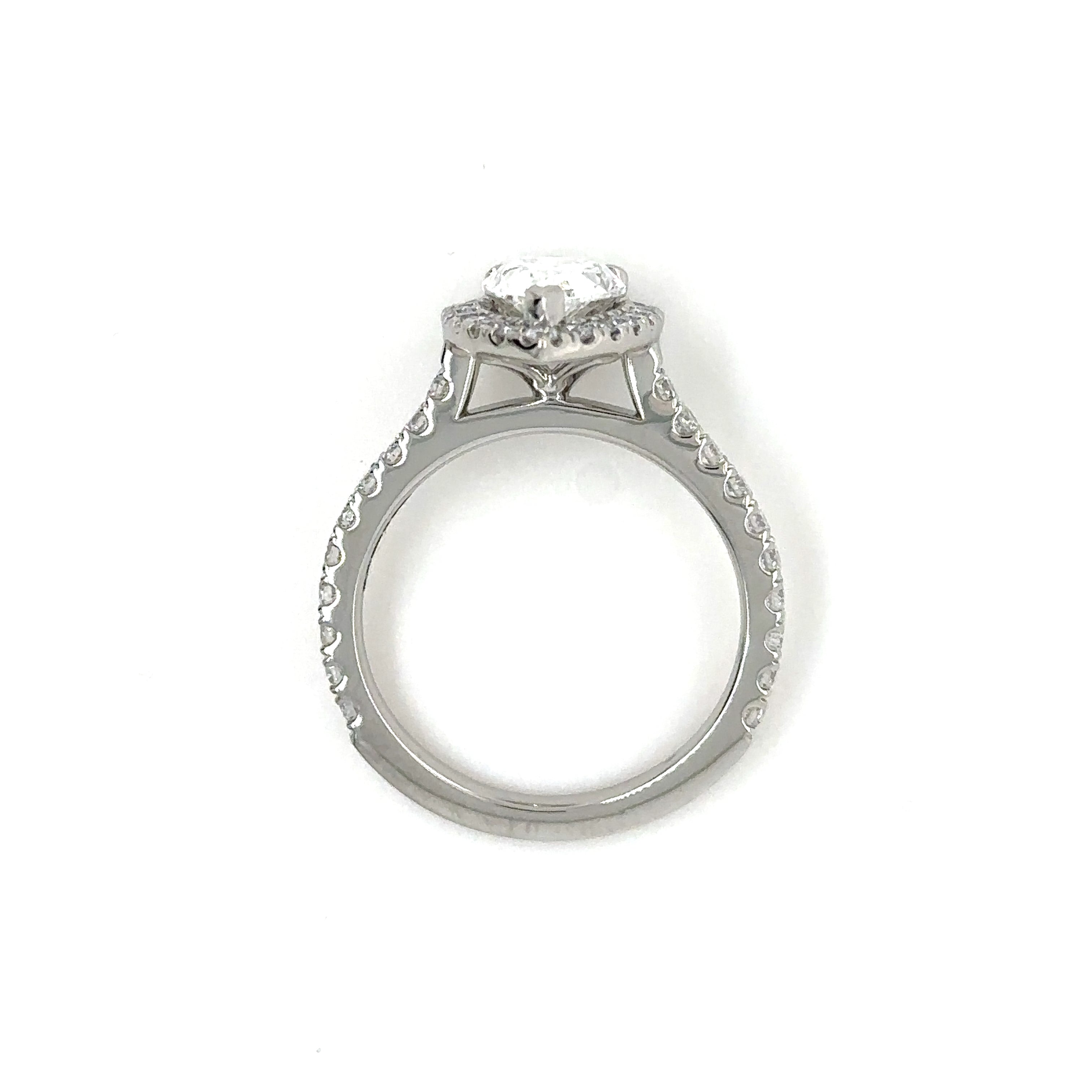 Single Halo Gallery with Pave Diamond Ring