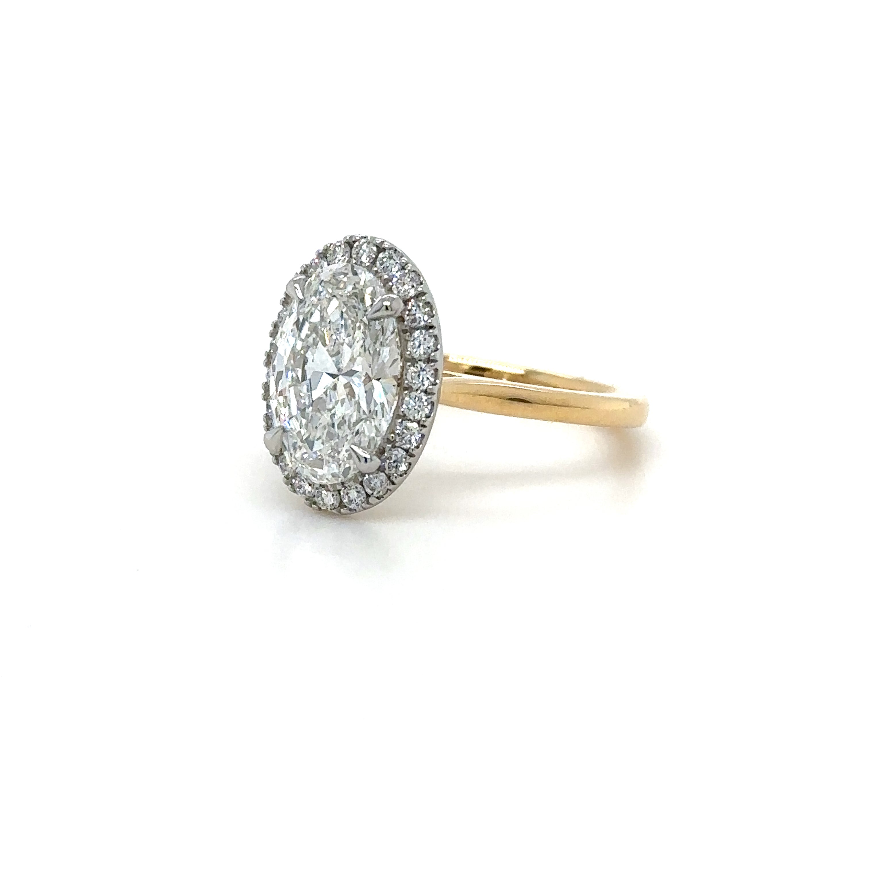 Single Halo Gallery with Plain Band Diamond Ring