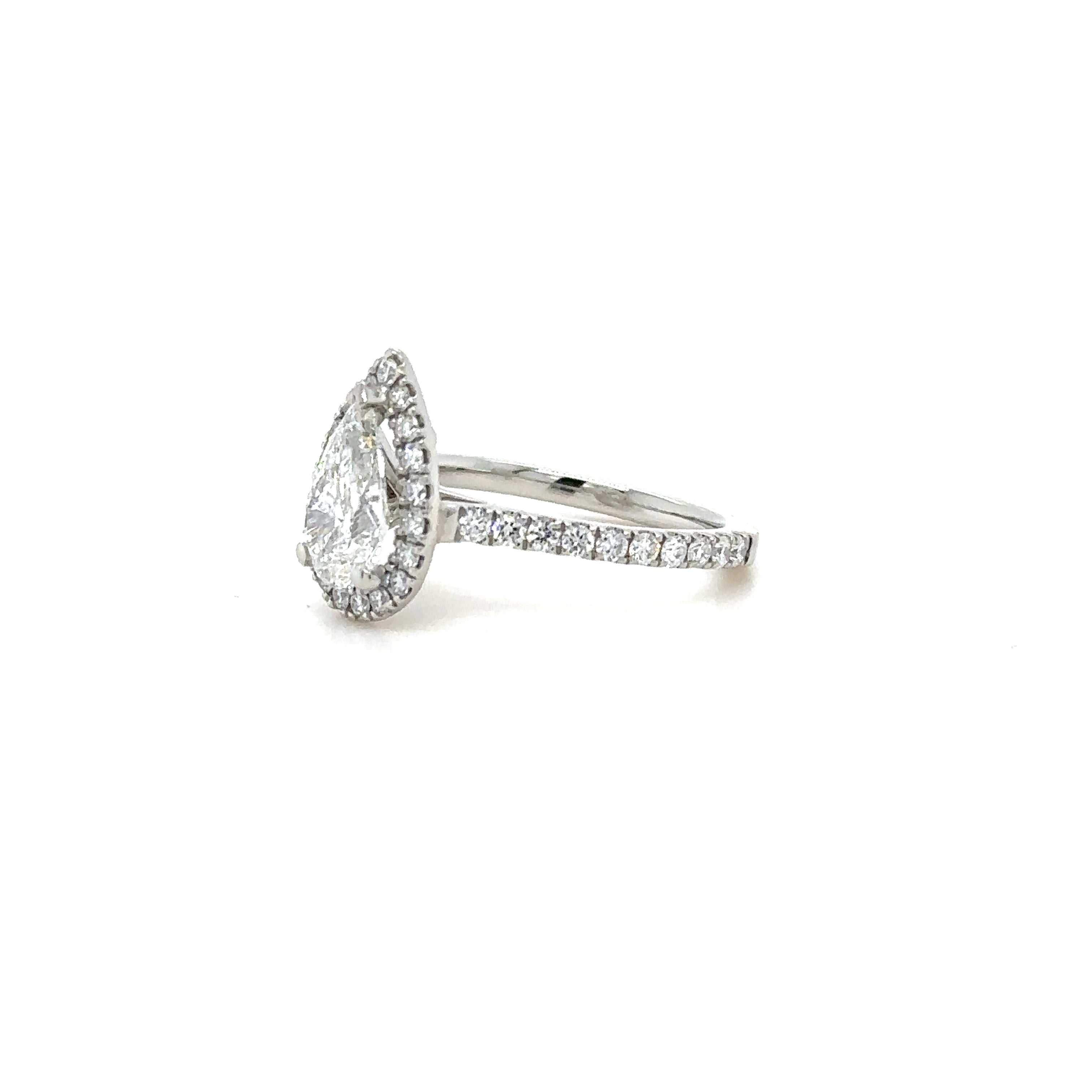 Single Halo Gallery with Pave Diamond Ring